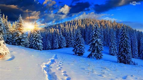 Winter Sunrise Winter Sunrise Nature Hd Wallpaper Pxfuel