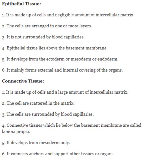 Difference Between Epithelial And Connective Tissues