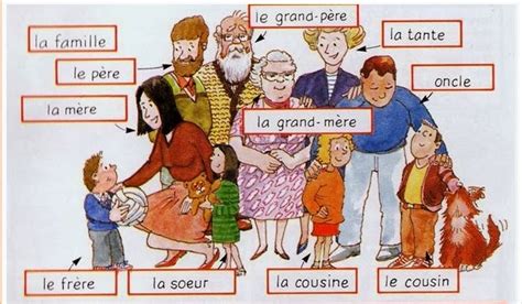 les membres de la famille activités