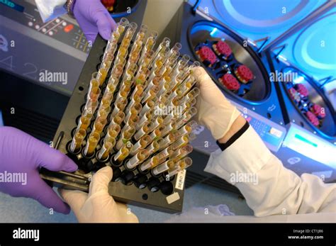 Hematological Centrifuge Hi Res Stock Photography And Images Alamy