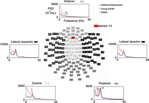 Spatial Localization Of The Meg Sensors And Averaged Psd For Each Brain