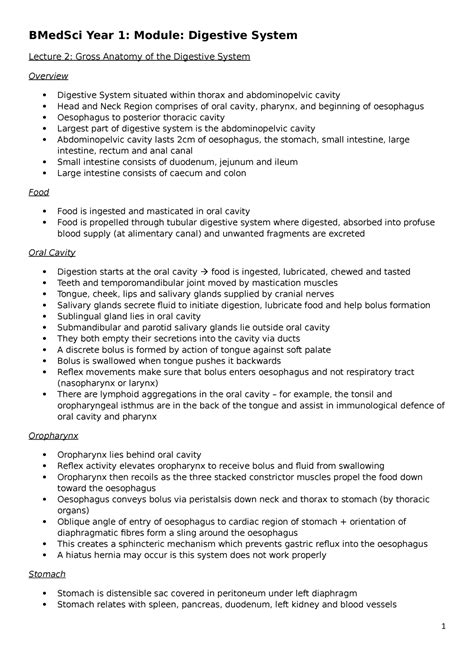 Gross Anatomy Of The Digestive System Lecture Notes Lecture