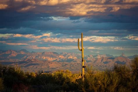 Premium Photo Sunset Illuminating Saguaro Cactus With Sonoran Desert