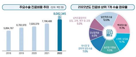 건보공단 통계연보 수술 건수는 백내장이 최대 수술비는 척추수술이 최고