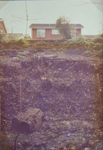 Flora Of The Disused Railway Cutting In Trumpington 1984 1985