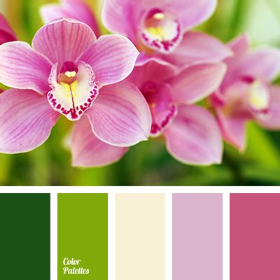 color of orchids | Color Palette Ideas