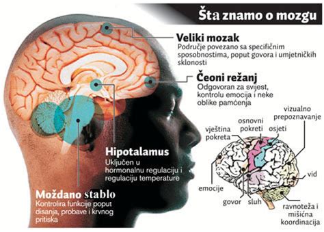 Alzheimer Ova Bolest Zdravlje