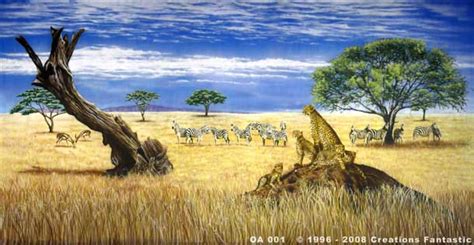 Backdrop Oa001 African Savannah 1