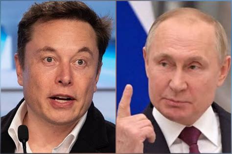 Reta Elon Musk A Vladimir Putin A Combate Cuerpo A Cuerpo Mi Ciudad