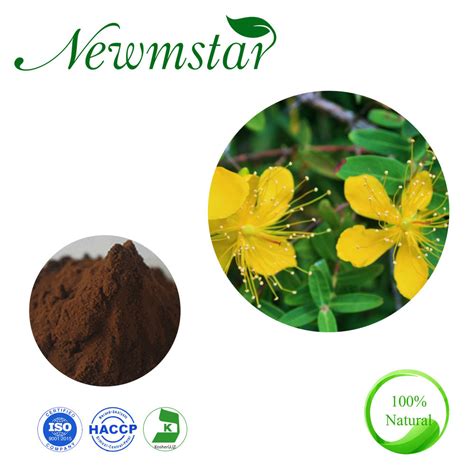 Hypericum Perforatum L St John Wort Extract Hypericum Perforatum