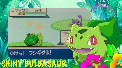 Live Spicy Shiny Female Bulbasaur Dances Away After Srs In