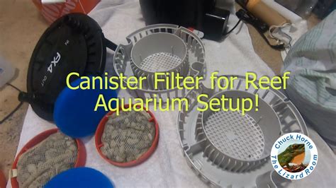 Fluval Fx Canister Filter Reef Setup Youtube