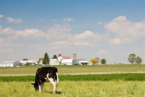 Amish Tours With Authenticity – Farmhouse and Bus Tours | The Amish Village