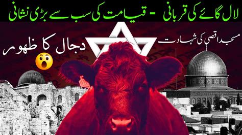 Qaymat Ki Aik Aur Nishani Puri Red Heifer In Israel Dark Secret