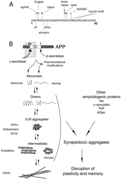 Schematic Representation Of A Processing And Aggregation A Primary