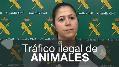 Investigan una asociación dedicada al tráfico ilegal de animales con