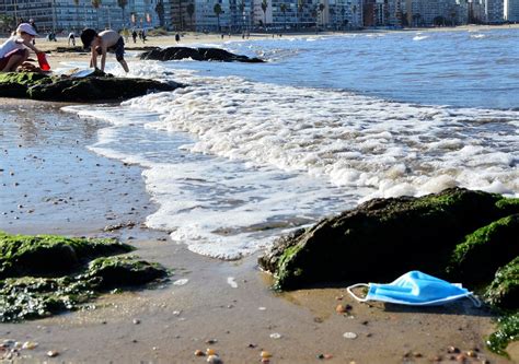 Arriba 64 Imagen Porque Se Contaminan Las Playas Viaterra Mx