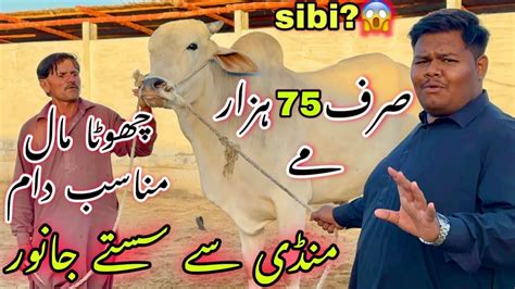 Sirf Hazar Me Janwer Apka Farm Par Mandi Se Bhe Sasta Qurbani