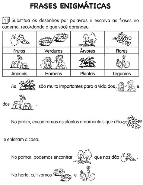 Escola Saber Atividades Sobre Plantas Educação Infantil