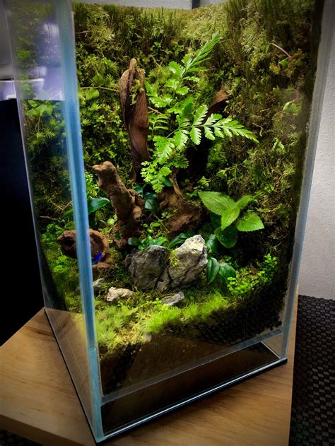 I Made A Terrarium Coffee Table Pics Of The Build And More Info In The