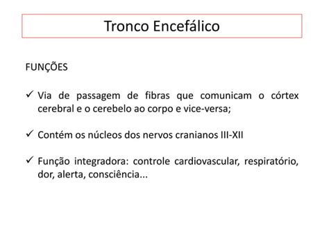 Tronco EncefÁlico E Nervos Cranianos