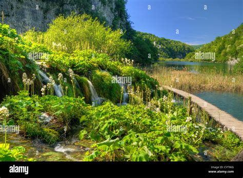 Plitvice Lakes National Park, waterfalls, Croatia Stock Photo - Alamy