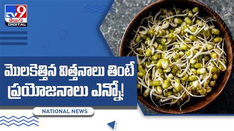 బరువు తగ్గేందుకు పక్కా ఫుడ్ 5 Benefits Of Eating Sprouts Daily Tv9 Youtube