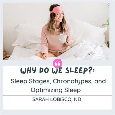 sleep  summary  sleep stages  chronotype night owls