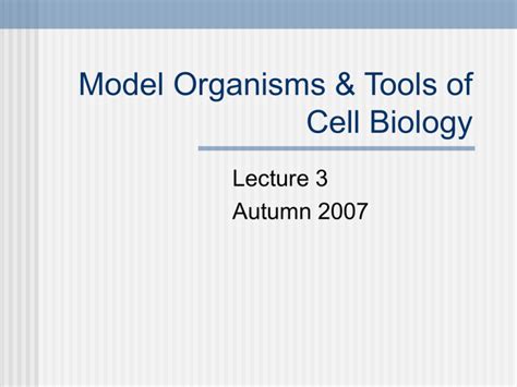 What is a Model Organism?