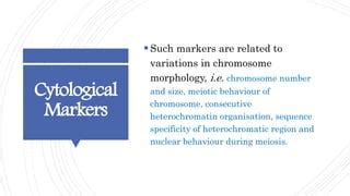 Morphological, Cytological and Biochemical Markers | PPT