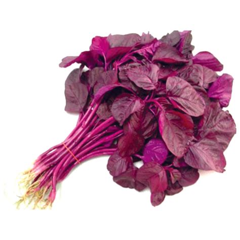 Organic Red Amaranthus Seeds Open Pollinated Seed2plant