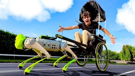 Costruisco Una Carrozza Per Il Mio Cane Robot Youtube