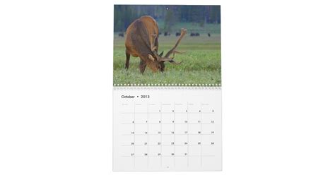 Nice Racks Wall Calendar Zazzle