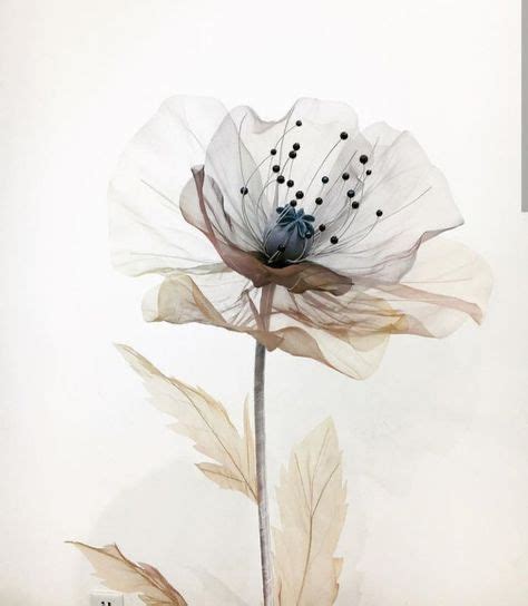 Pin By Cinthia Duim On Wallpapers Watercolor Art Flower Art Flower