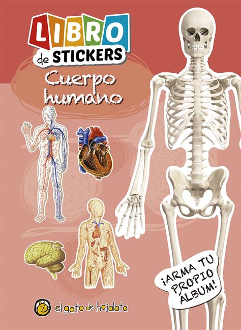 Cuerpo Humano Libro De Stickers Calibroscopio