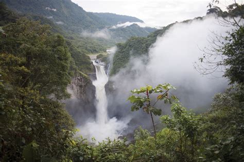 Ecuadorian Amazon wildlife location in Ecuador, Latin America ...