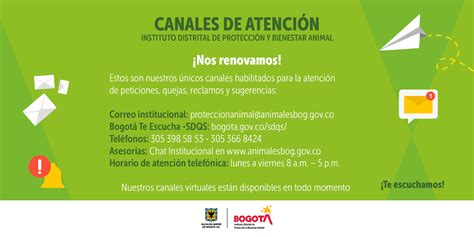 Cómo Puedes Denunciar Casos De Maltrato Animal En Bogotá 2024