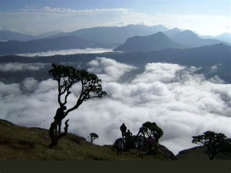 Munnar Trekking Adventure And Making Adventure Activities In Munnar