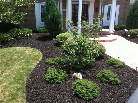 Black Rubber Mulch Landscaping Ideas