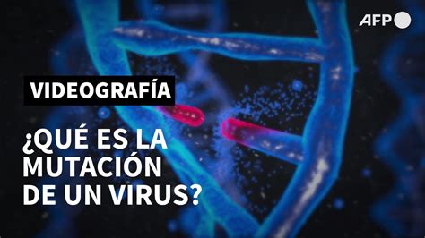 Qu Es La Mutaci N De Un Virus Afp Youtube