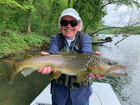 Dallys Fly Fishing Report 5523 The Ozark Fly Fisher Journal