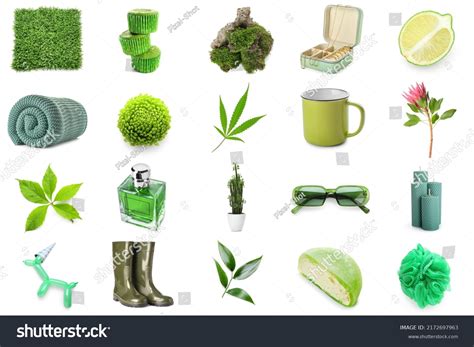 collage  green items  white stock photo