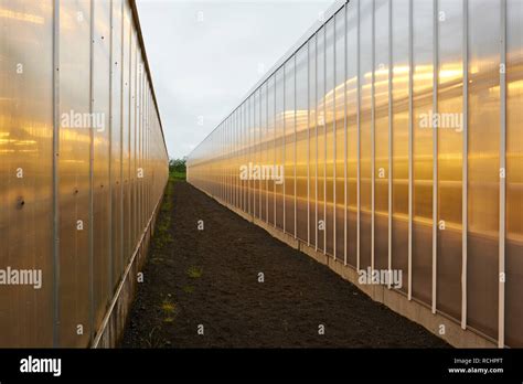 The Geothermally Powered And Heated Hveravellir Farm And Greenhouses