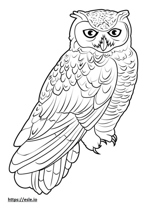 Snowy Owl For Coloring