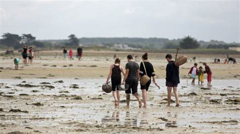 P Che Pied Ot Baie Du Cotentin Sainte M Re Eglise Et Carentan