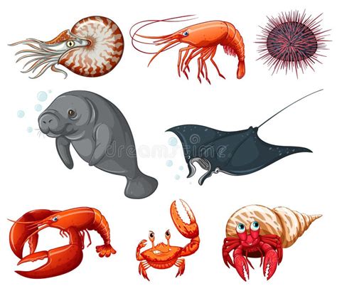 Animais de mar ilustração do vetor Ilustração de criatura 48932808