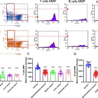 The Mitochondrial Membrane Potential Mmp Of Nk Cells And Monocytes In