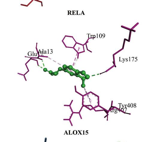 3d Interaction Visualisation Of Gene Target Proteins With Ferulic Acid