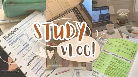 STUDY VLOG Um Dia Produtivo Comigo YouTube