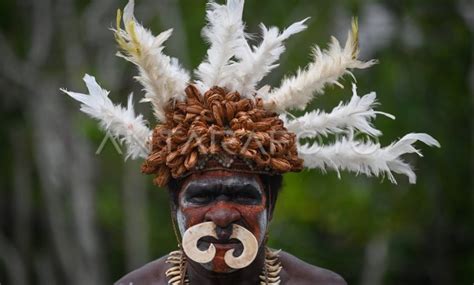 Mengenal Suku Asmat Sejarah Bahasa Agama Tradisi Dan Budaya